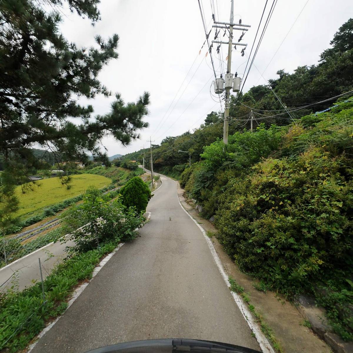 대 한국 동방 불교 조계종 해봉사_2