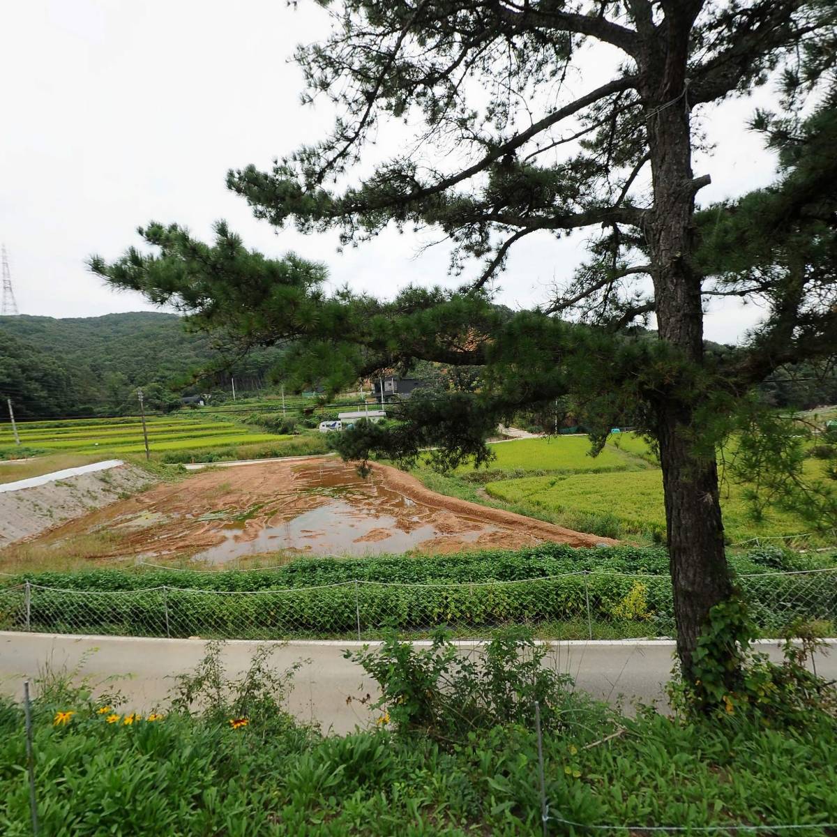 대 한국 동방 불교 조계종 해봉사