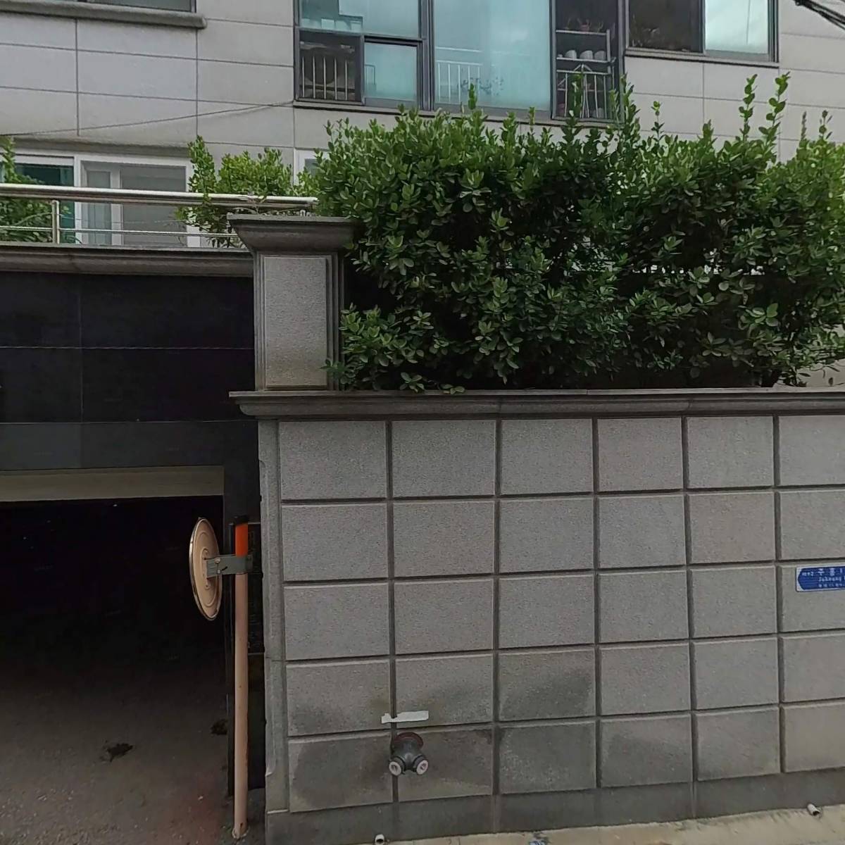 제네시스아트