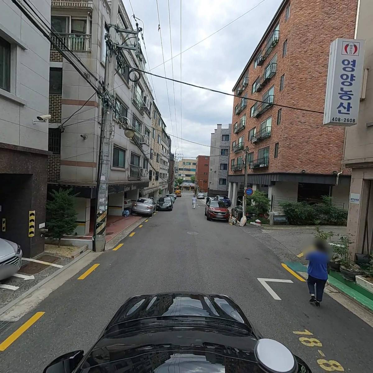 영양테라시티_4