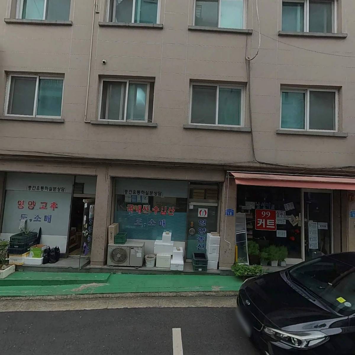 영양테라시티