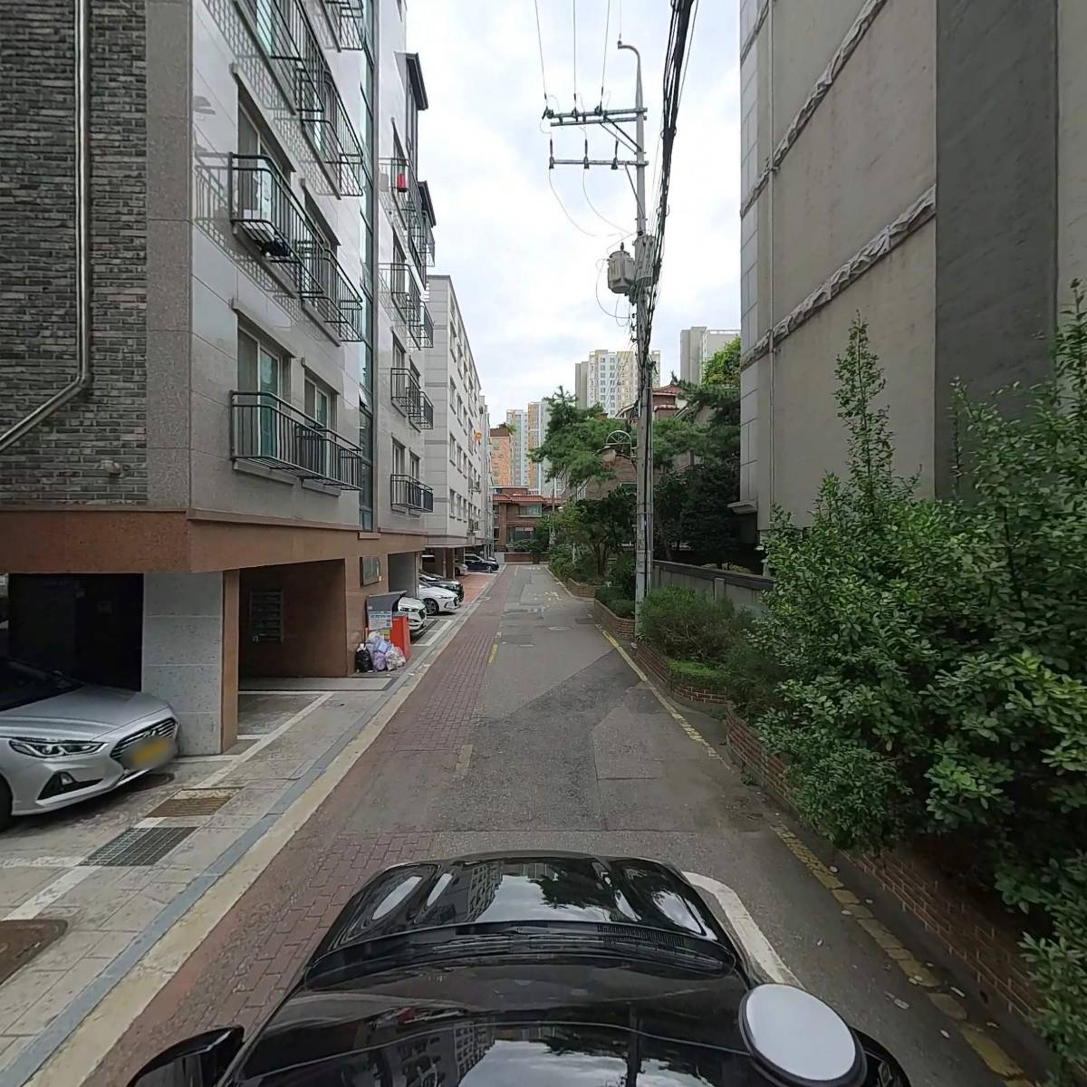영스에프엔씨_4