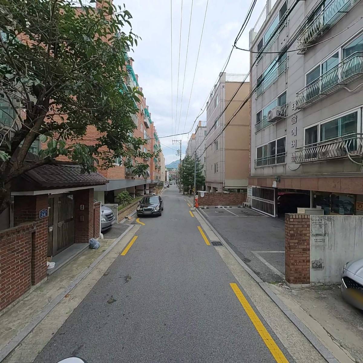 비전코리아_2