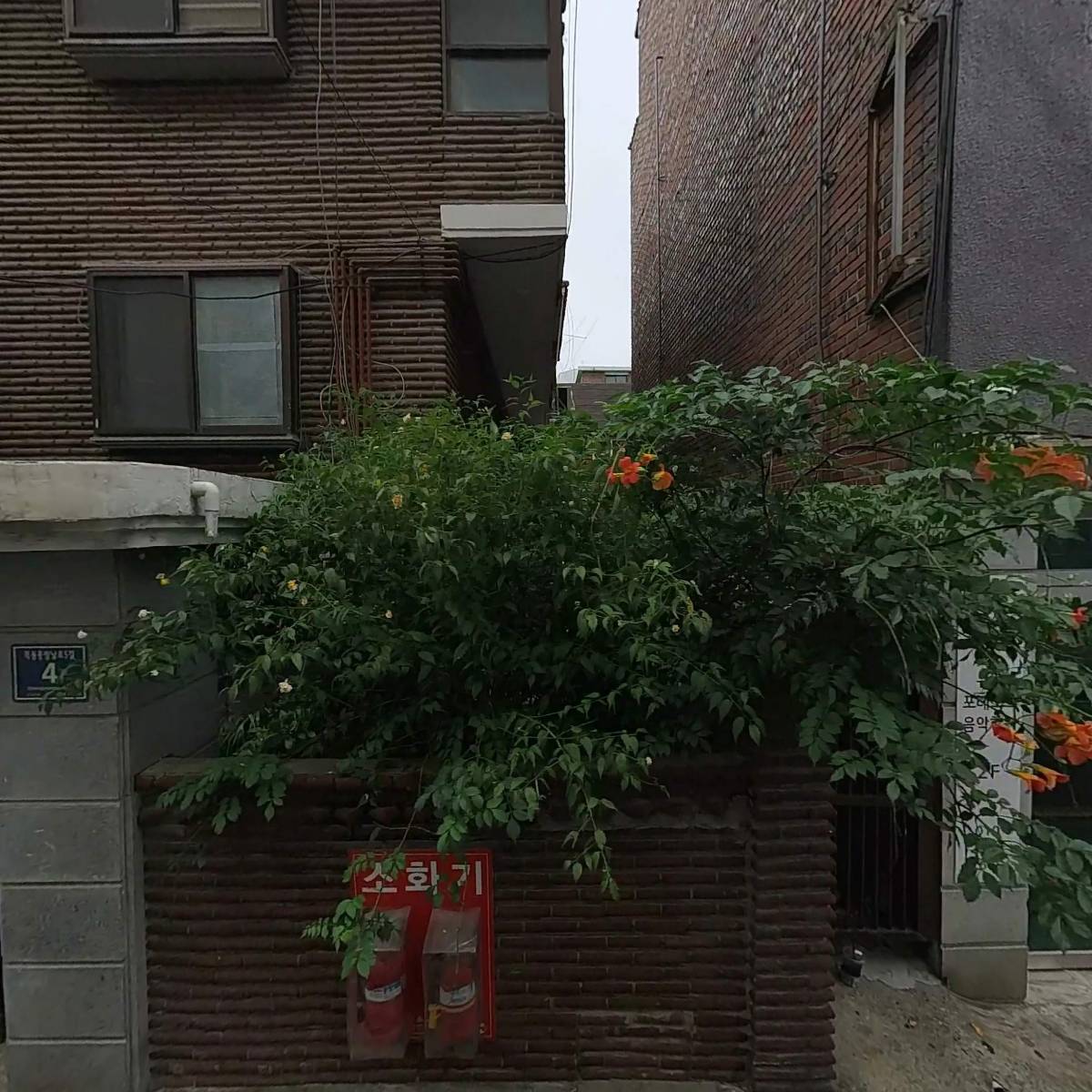 완도 울엄마 건어물