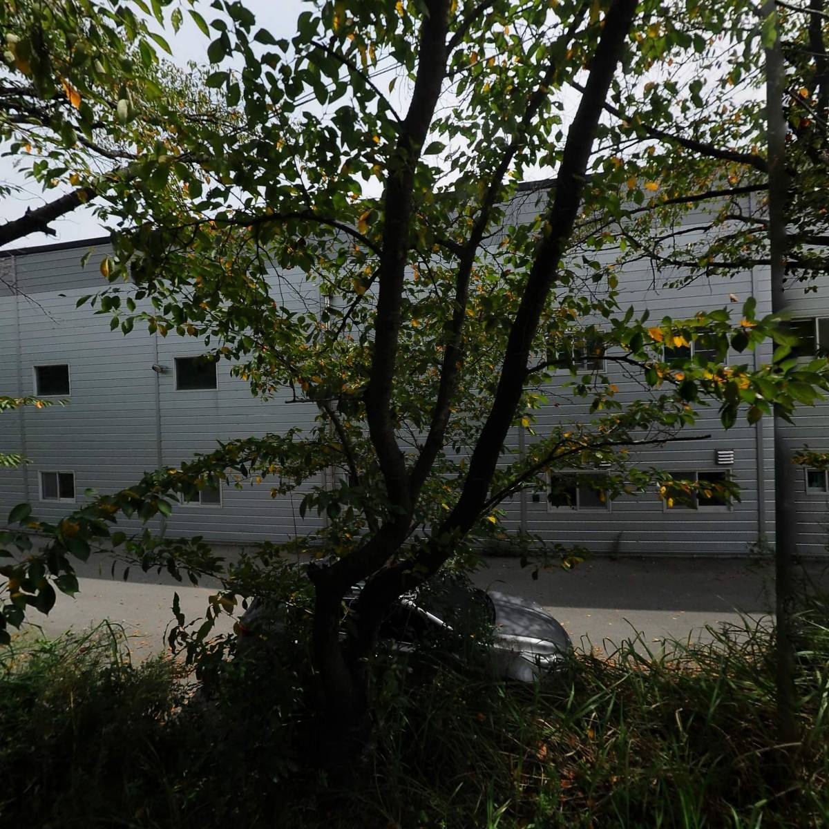 엘엔피로지스틱스(주)