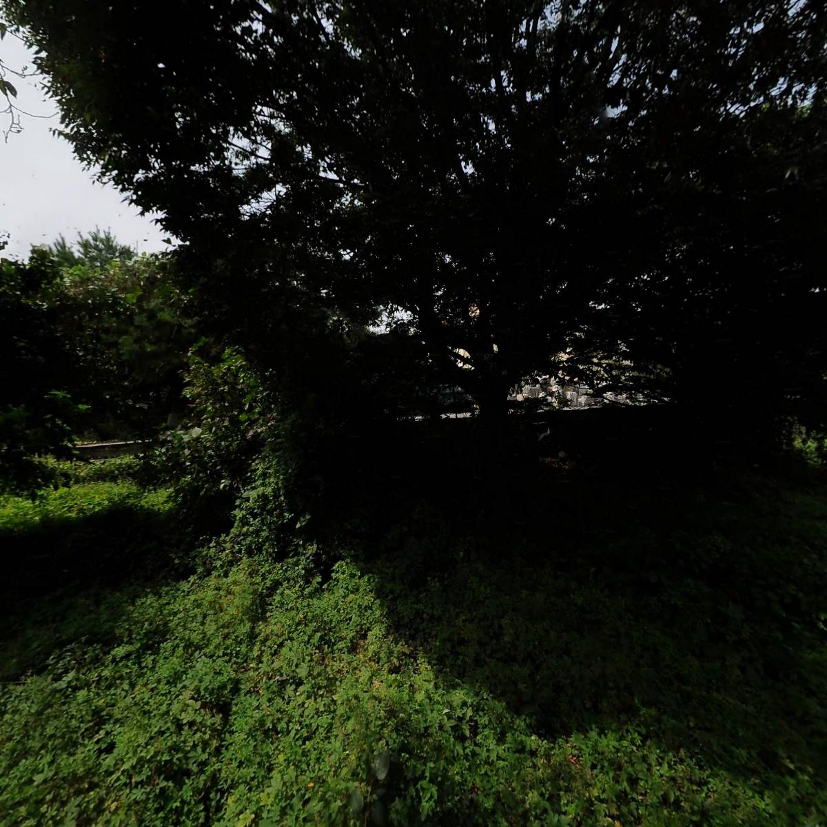 엘엔피로지스틱스(주)_3