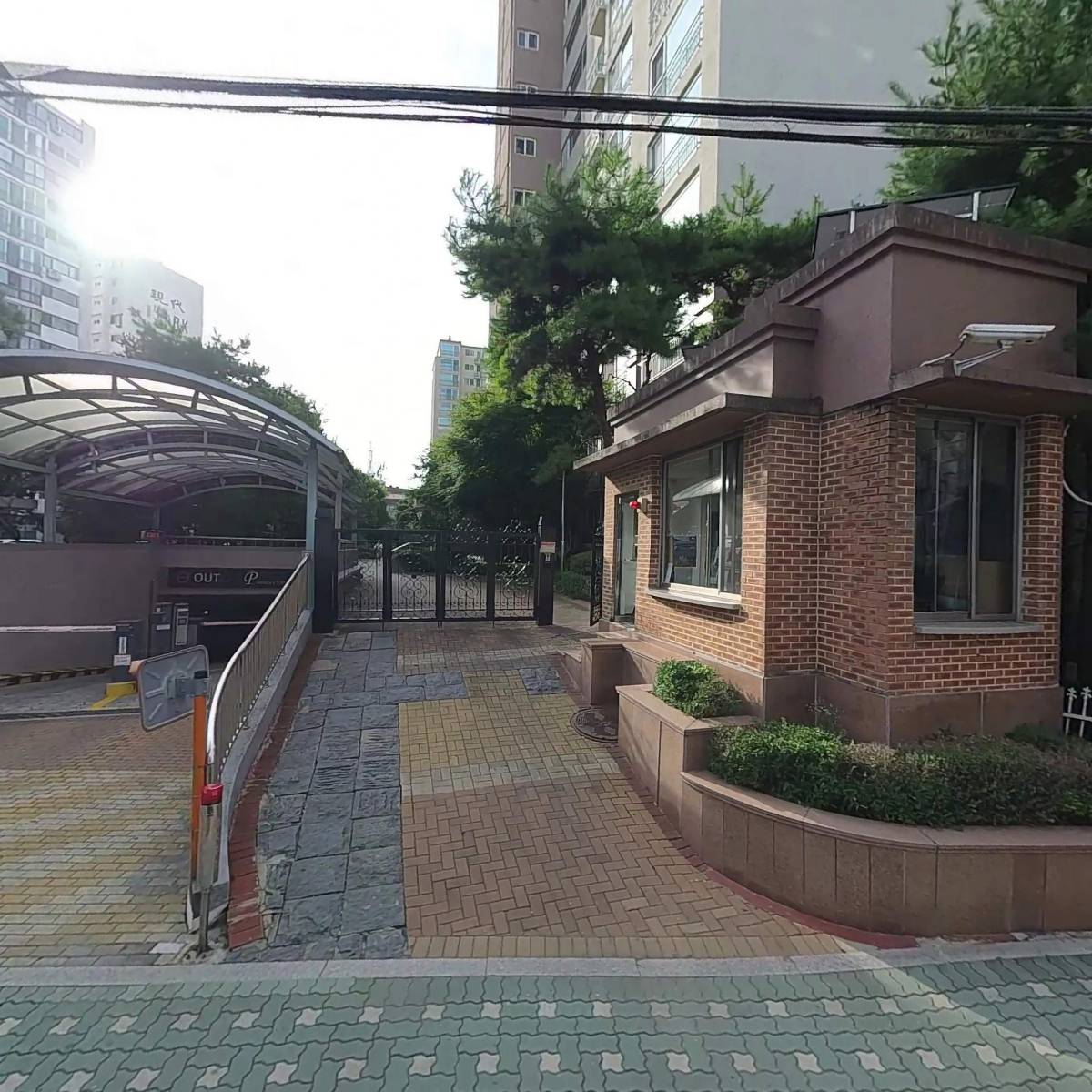 비마이플라워