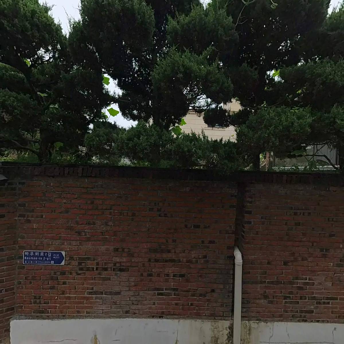 다인마트