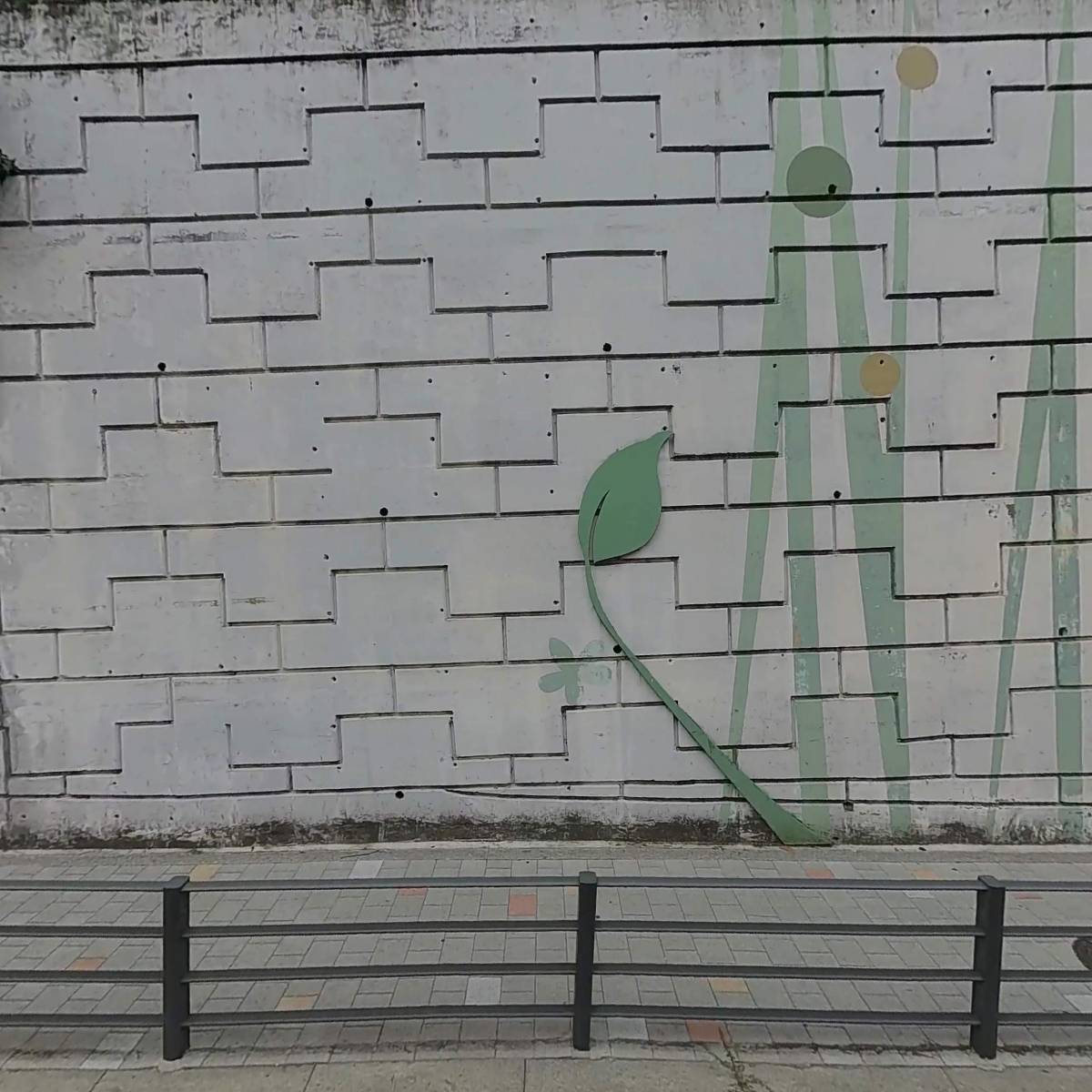한독피부비만