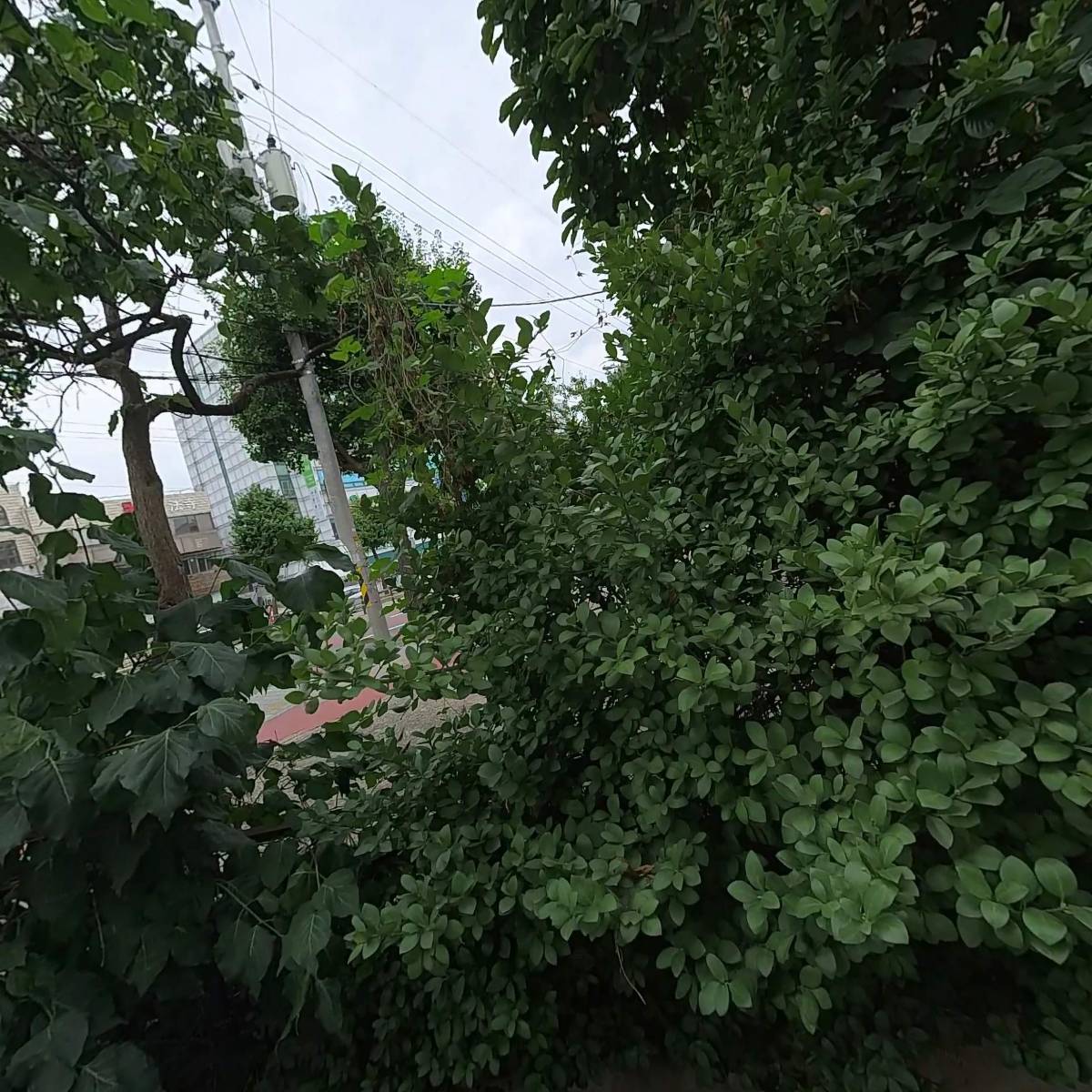주식회사 기영에프앤비
