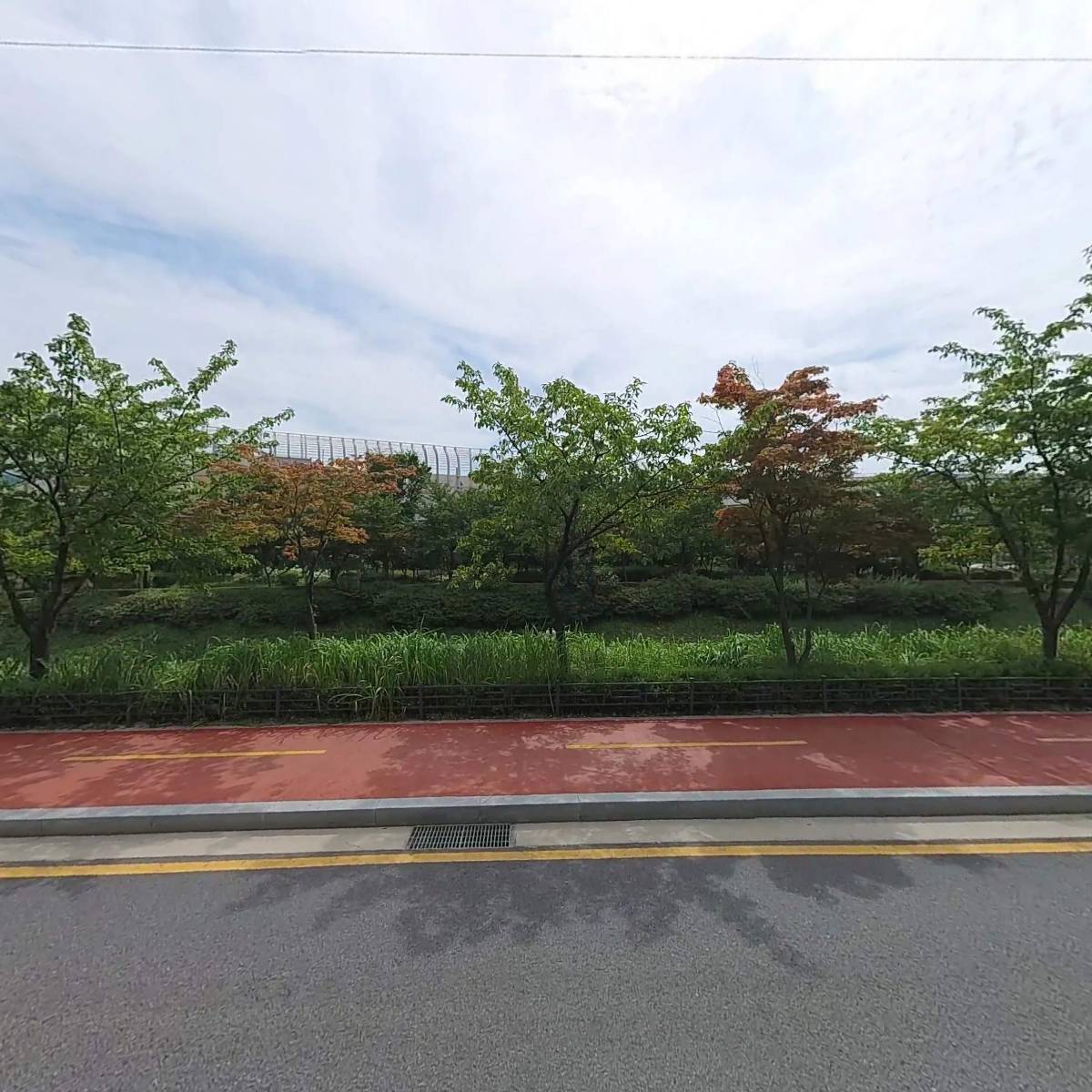 라코제_3