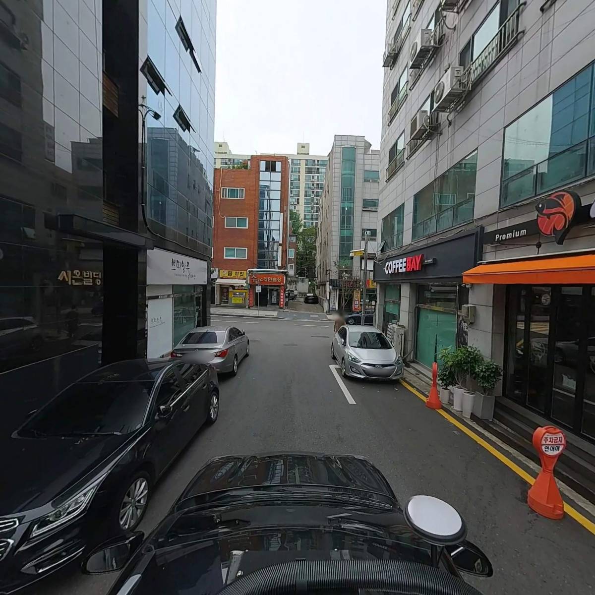 저팔계_4
