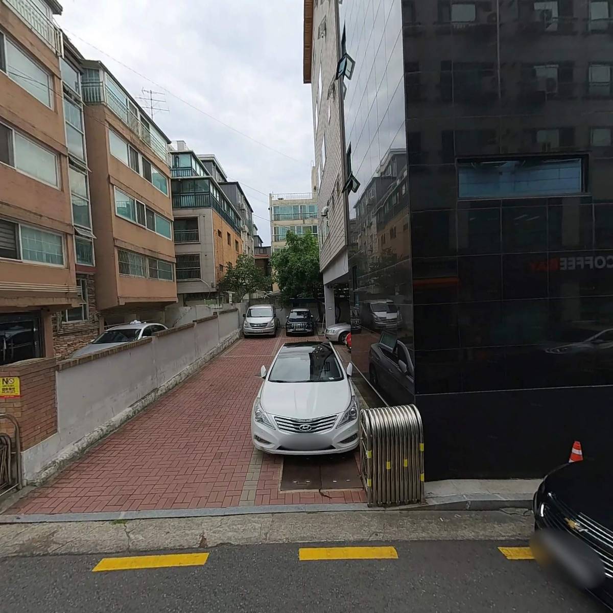 저팔계_3