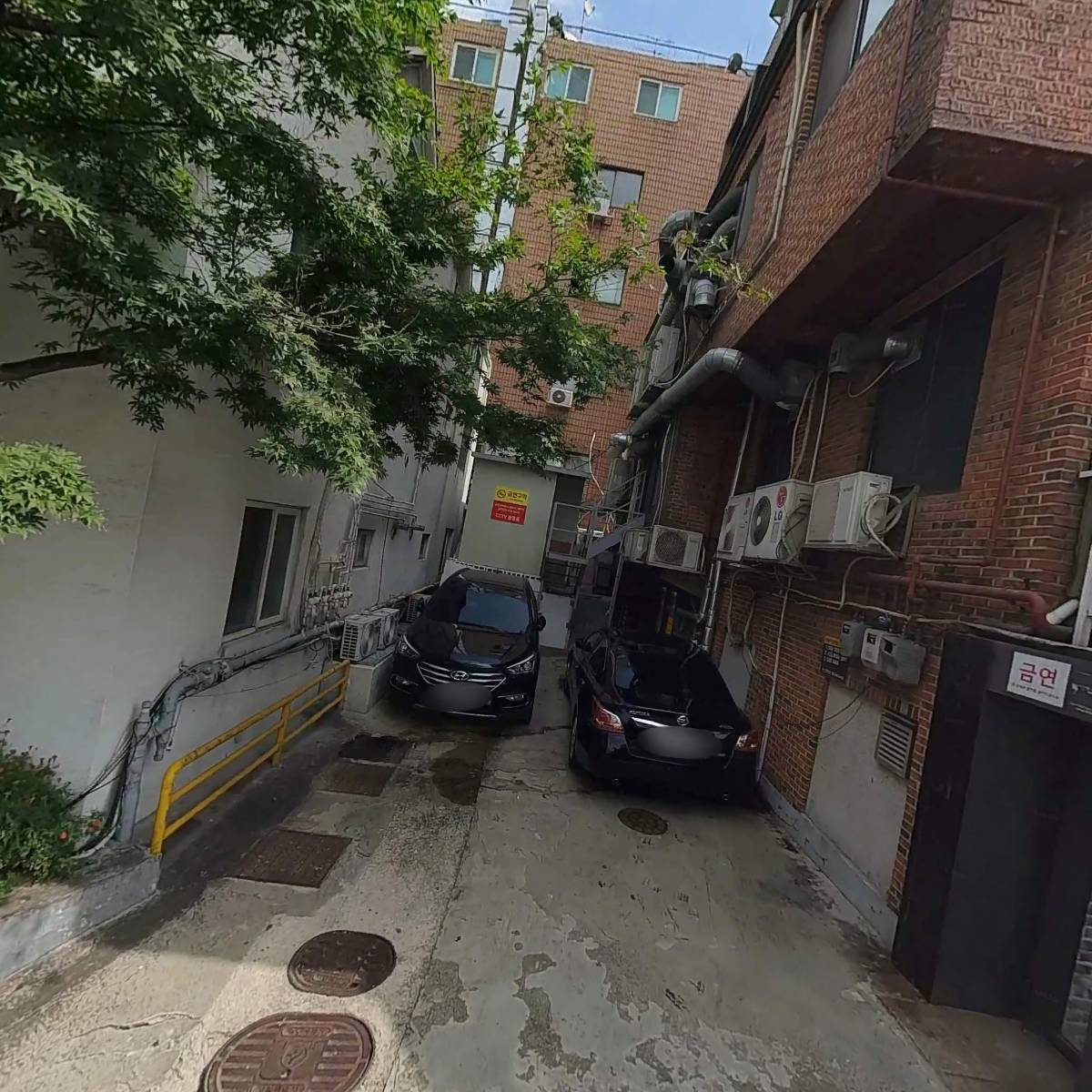 골드브릿지와인_3