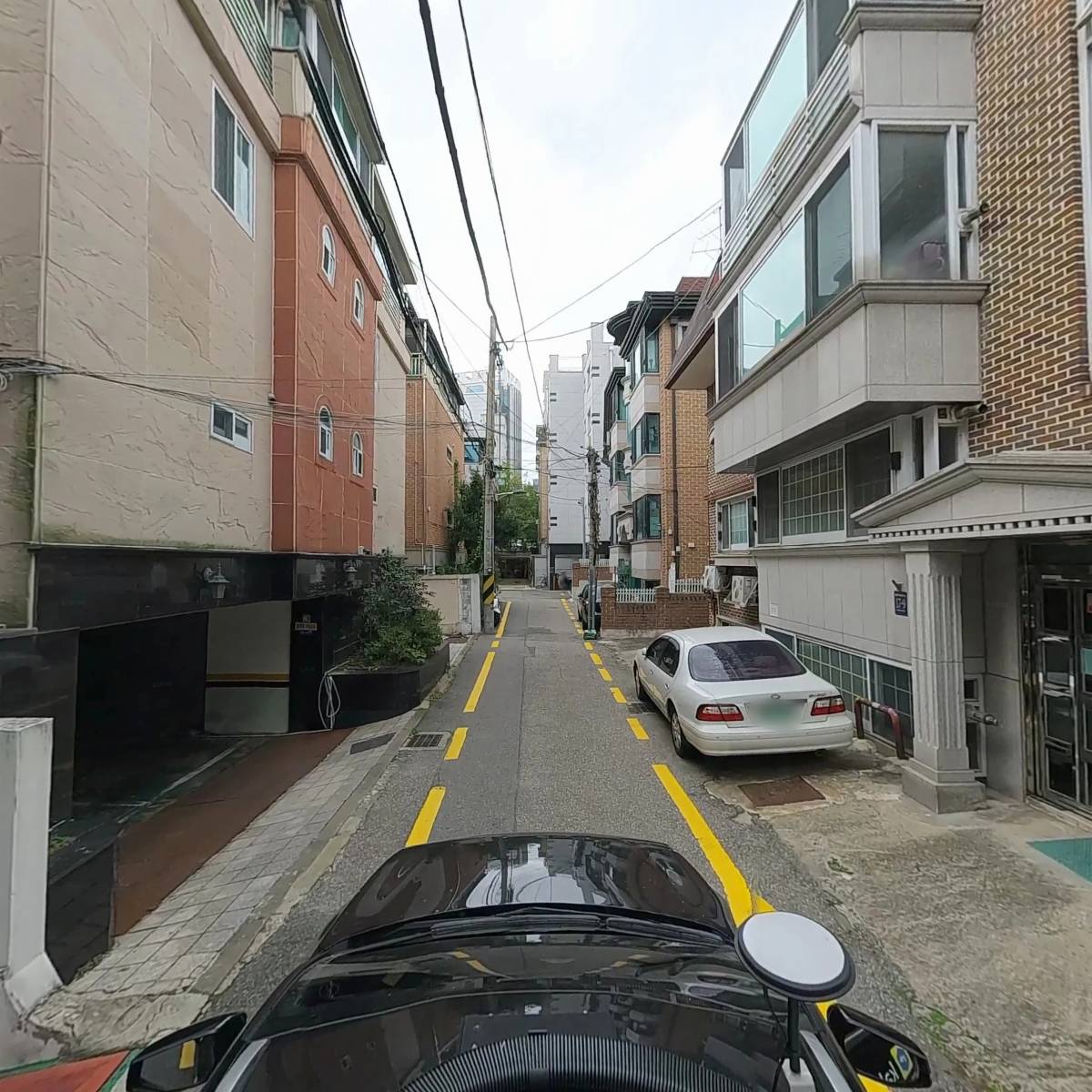 흐비지떼_4
