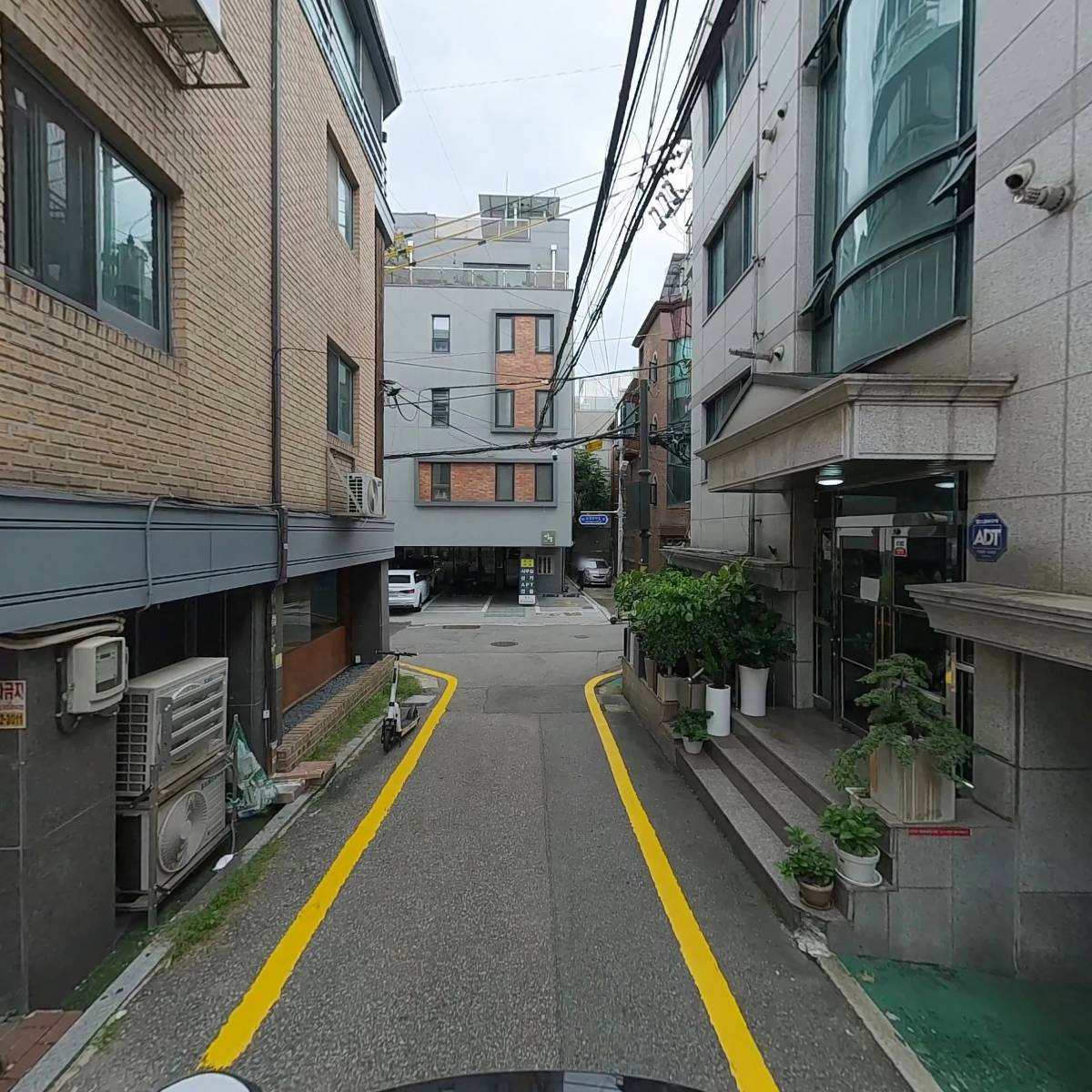 흐비지떼_2