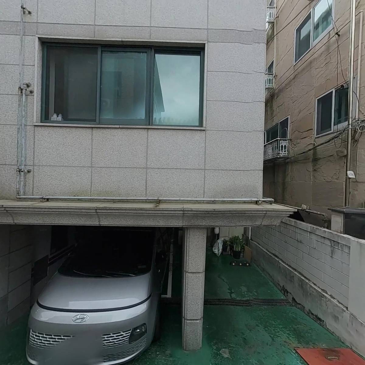 흐비지떼_3