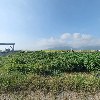 주식회사 에스지모터스