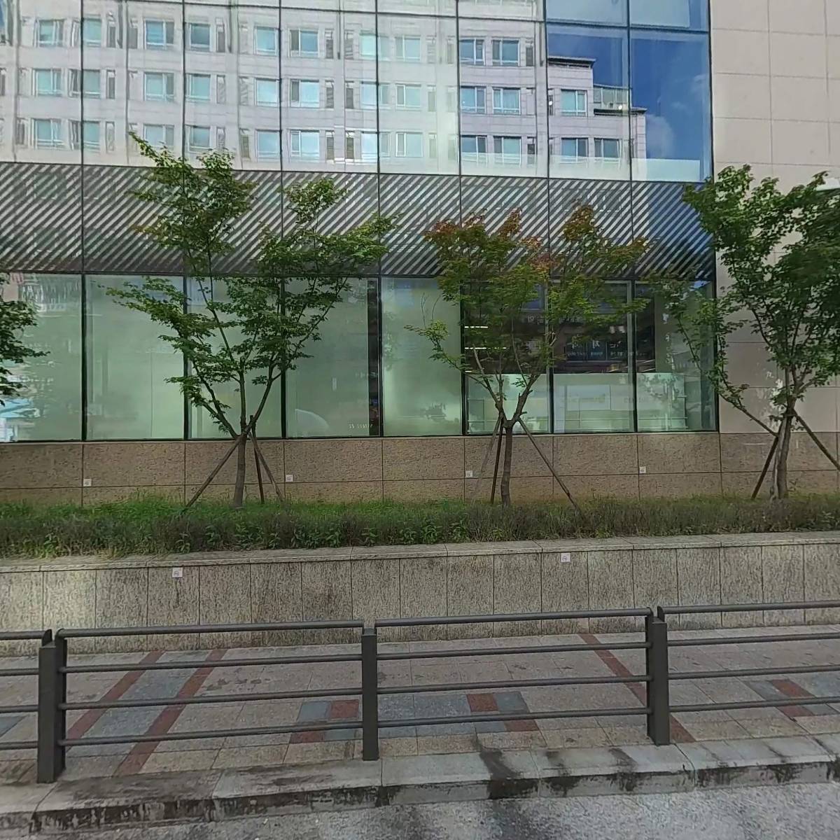 스콜라영어
