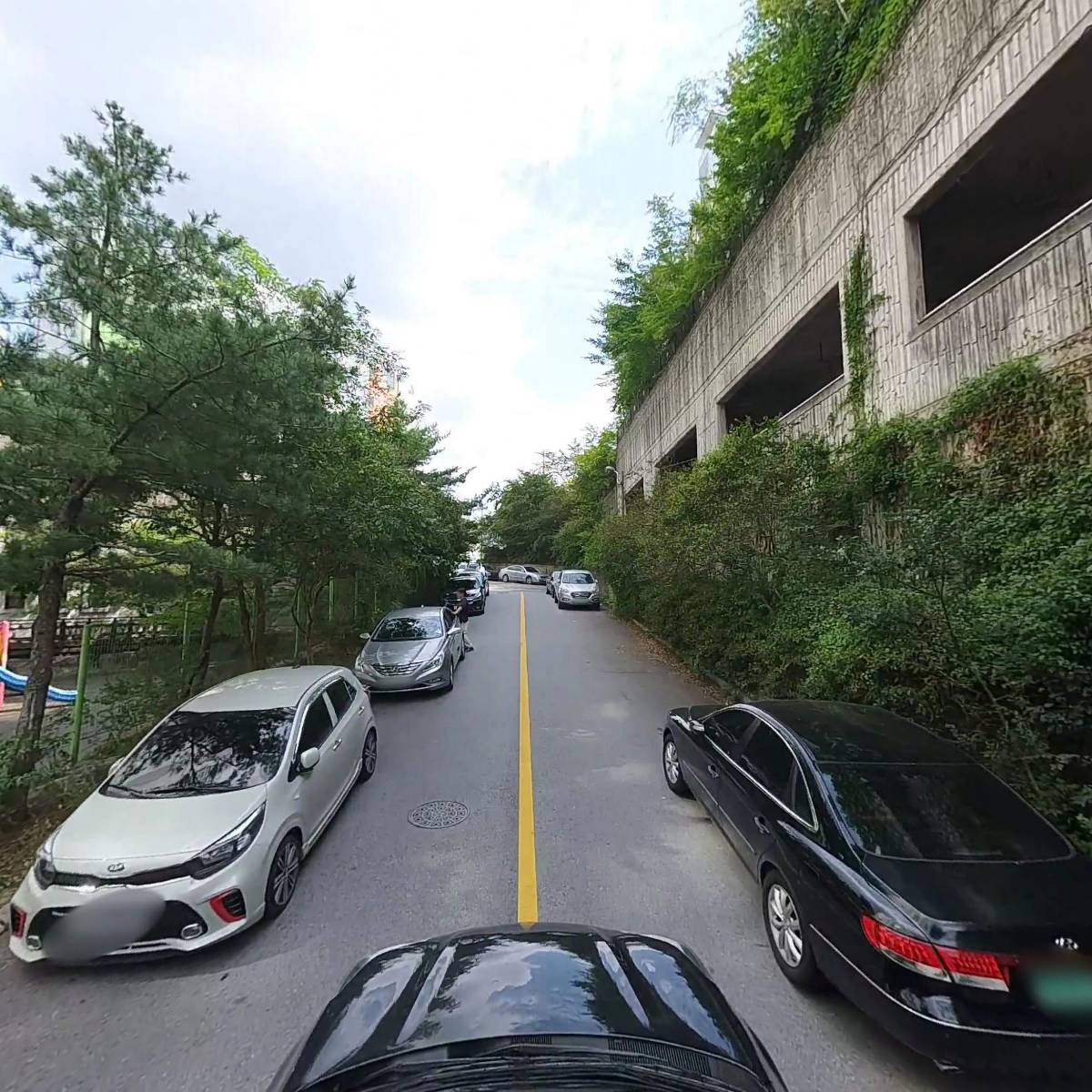 메이저유통_4