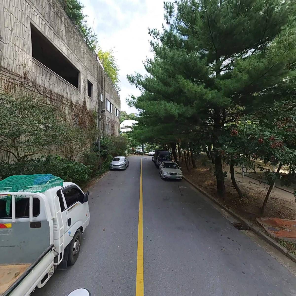 메이저유통_2