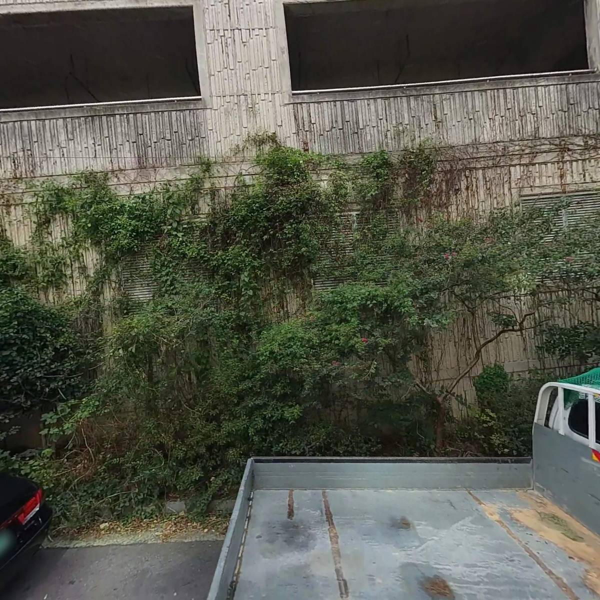 메이저유통