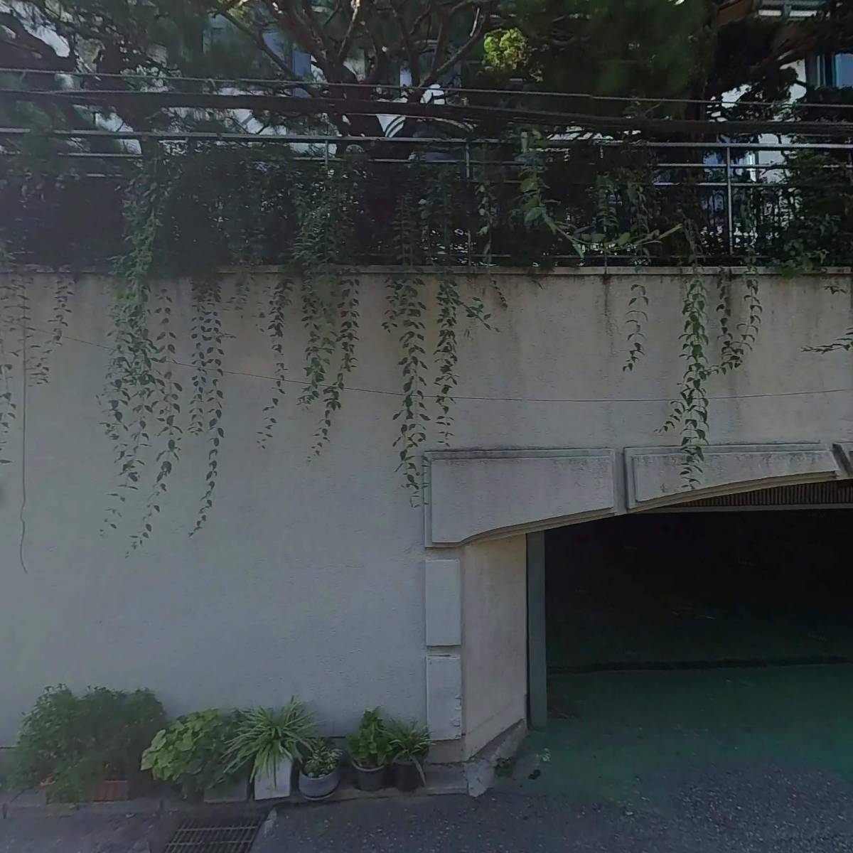 (주)제이제이여행사