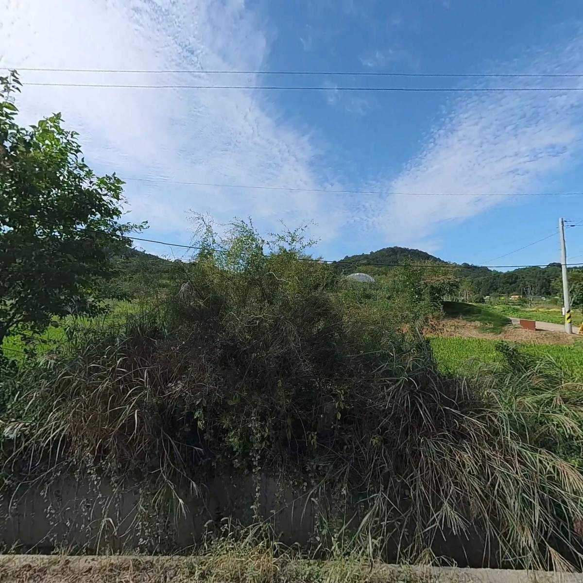 주식회사엘가