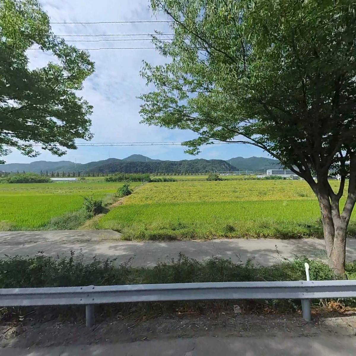 이삼민물장어