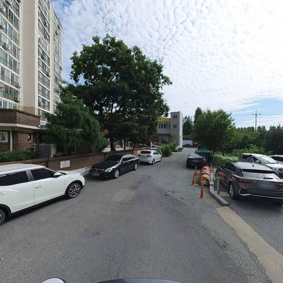 두꺼비상사_2