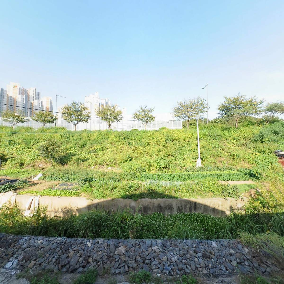 이정민,이정수 부동산