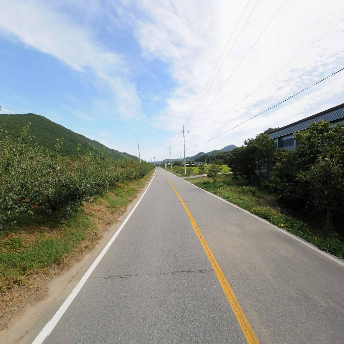 신촌농장농업회사법인유한회사_2