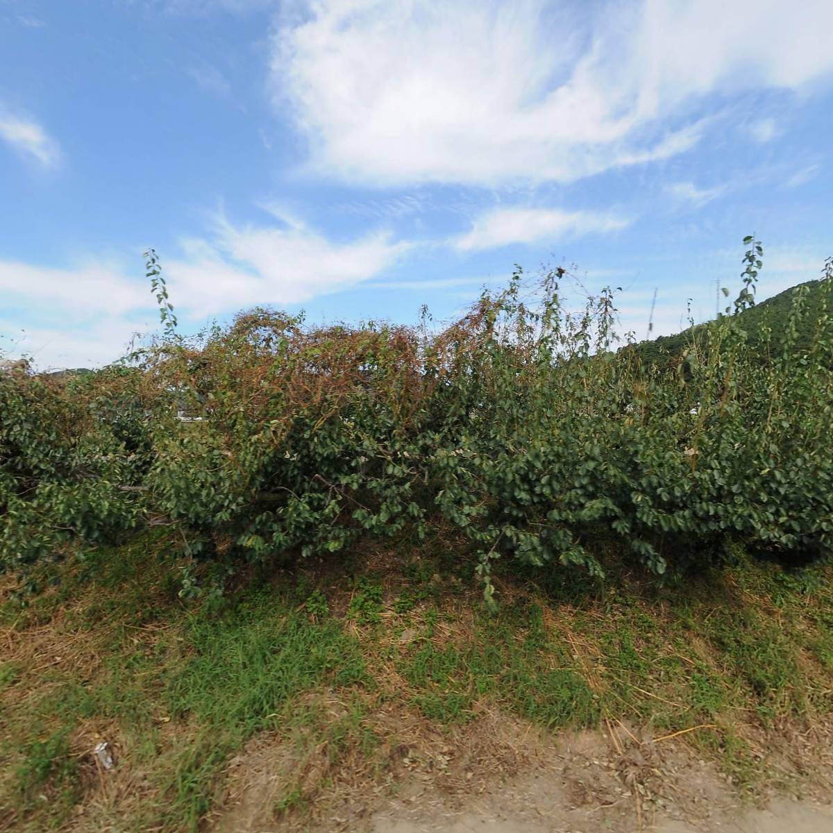 신촌농장농업회사법인유한회사