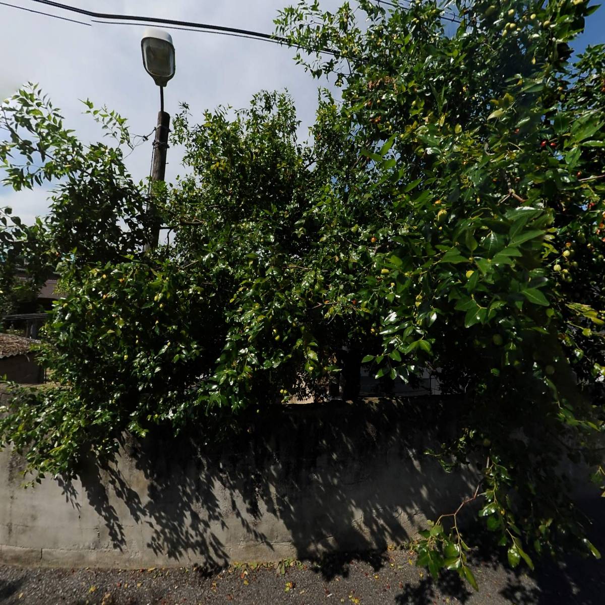 순창군파크골프협회_3