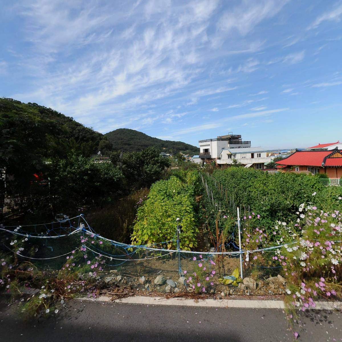 삼산면사무소_3