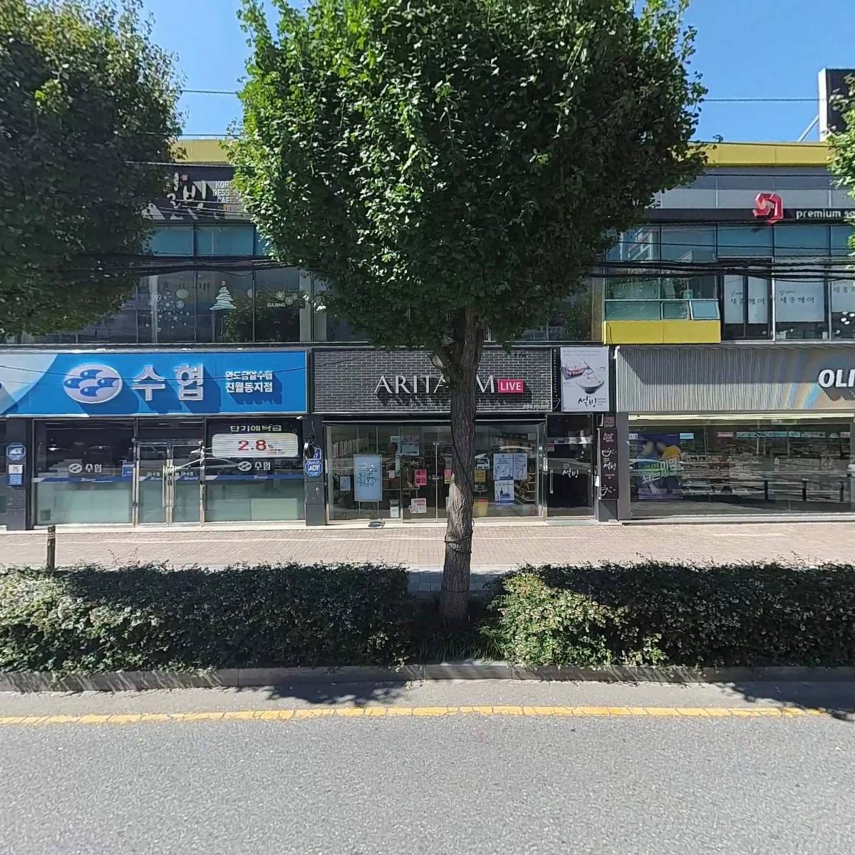완도금일수협진월동지점