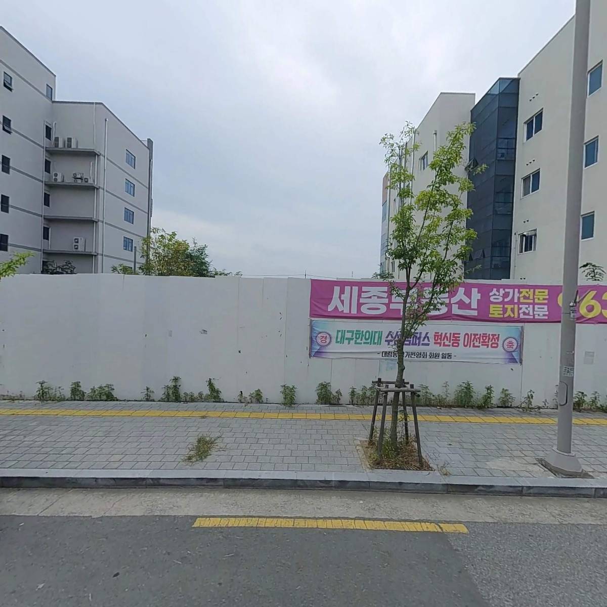 써봄