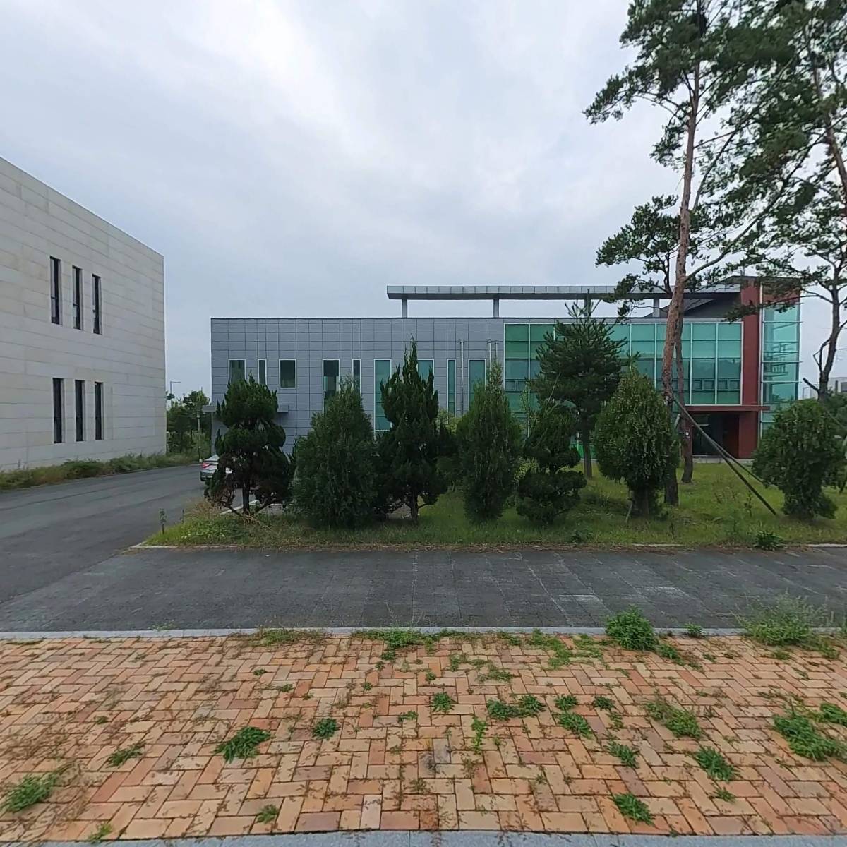 주식회사 써지덴트