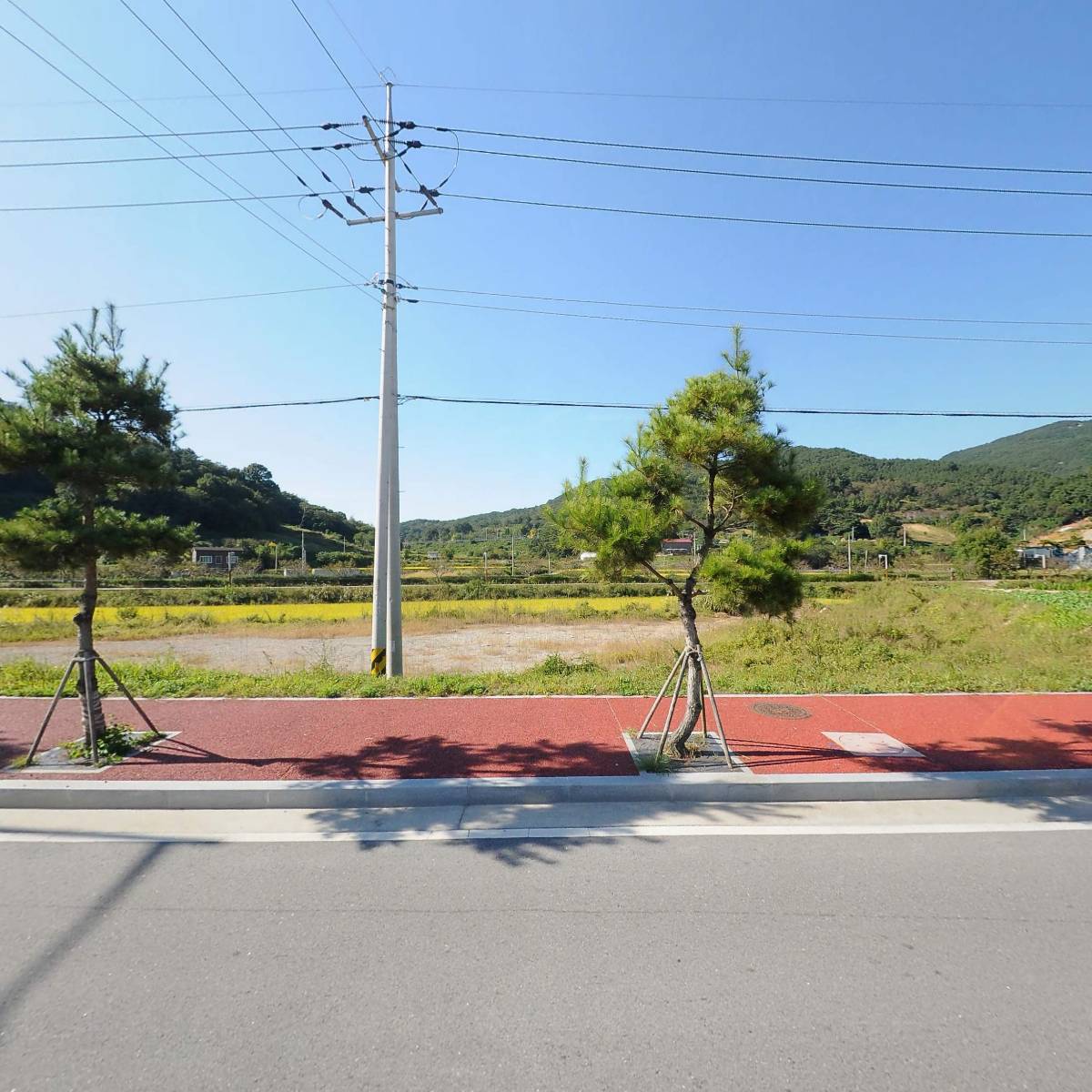 제일치과