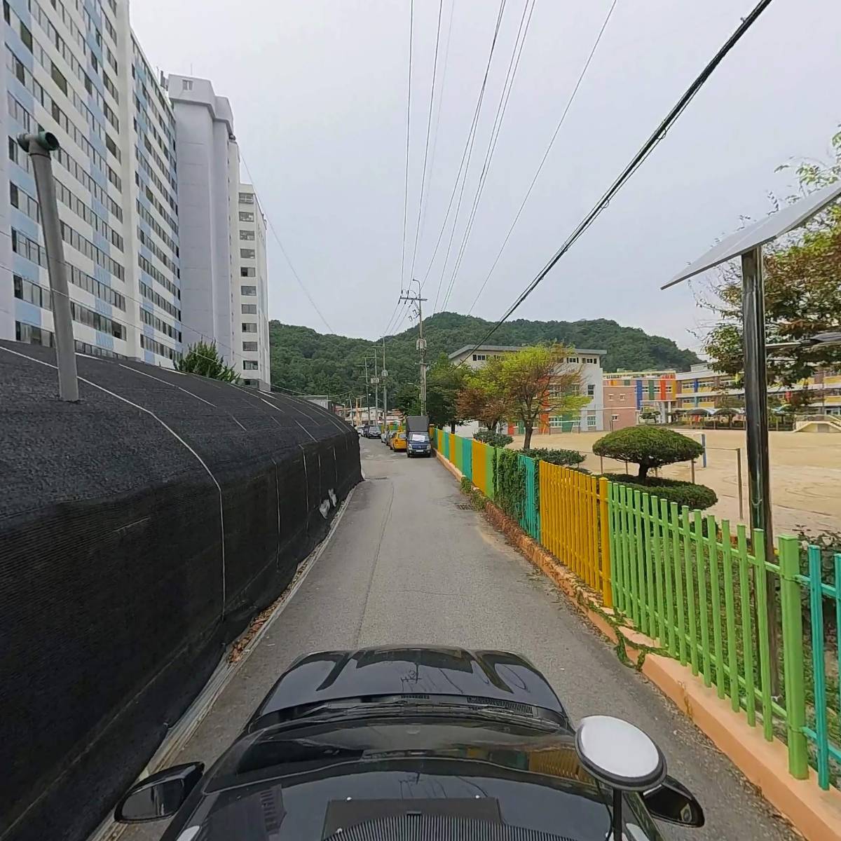 동리화훼_4