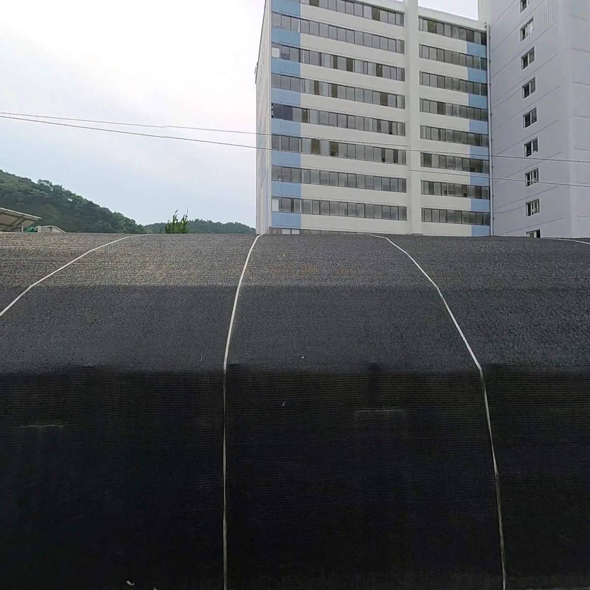 동리화훼_3