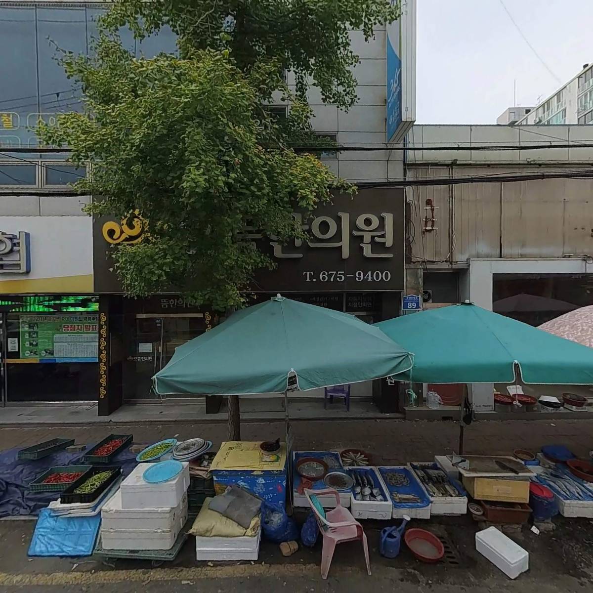 김하연