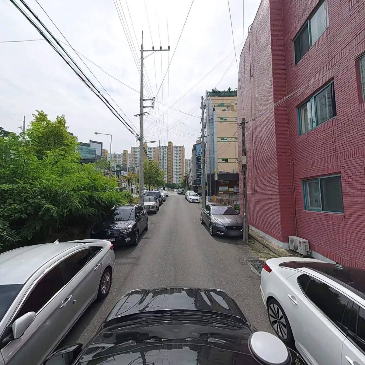 경주이씨금남공파종중_4