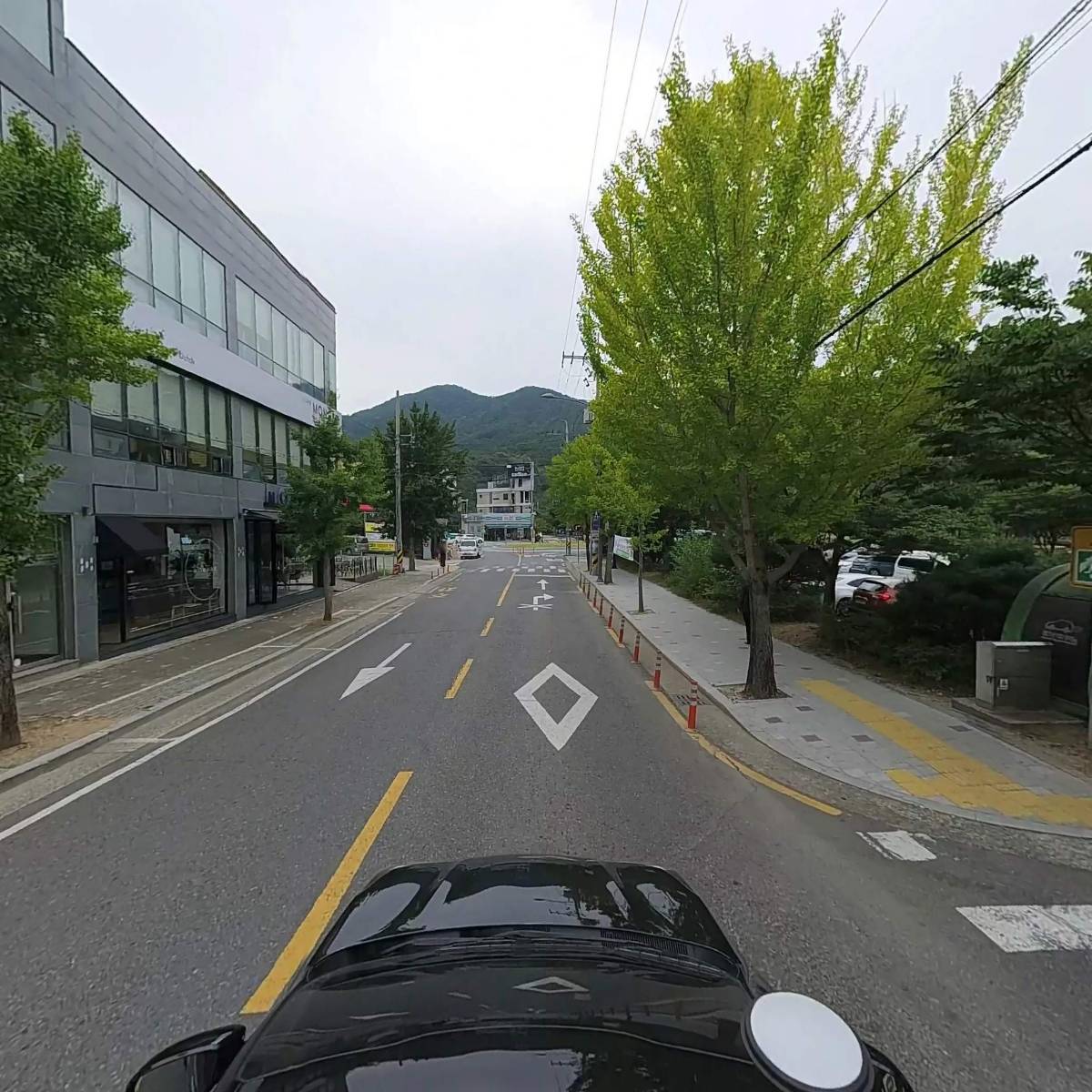 카모가와_4