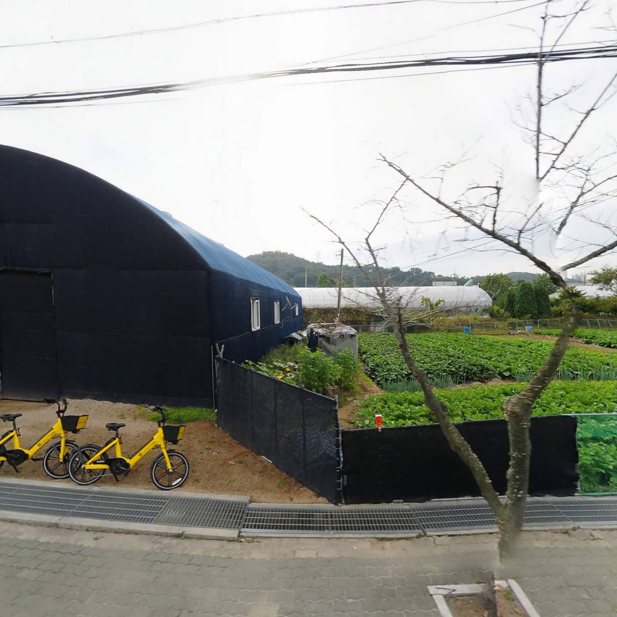 (주)화정