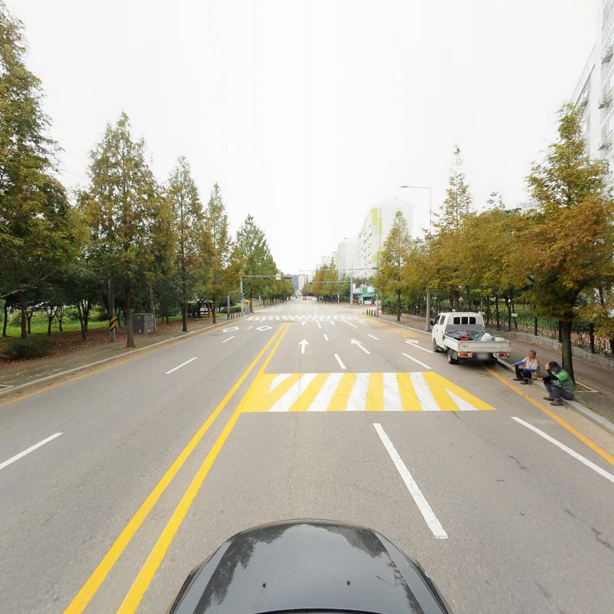 푸르체리마솔루션_4