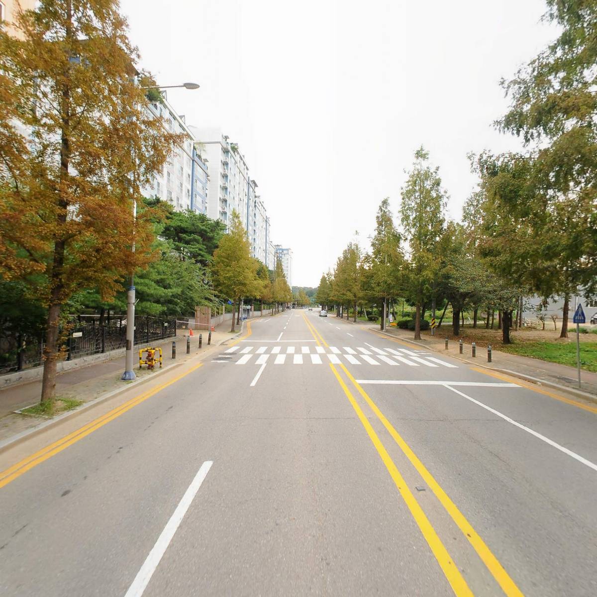 푸르체리마솔루션_2