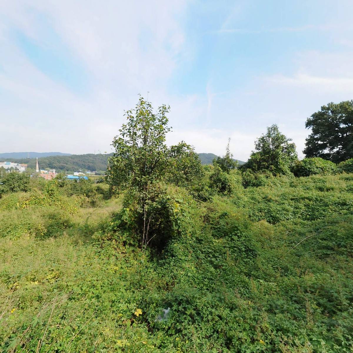 주식회사 용호산업