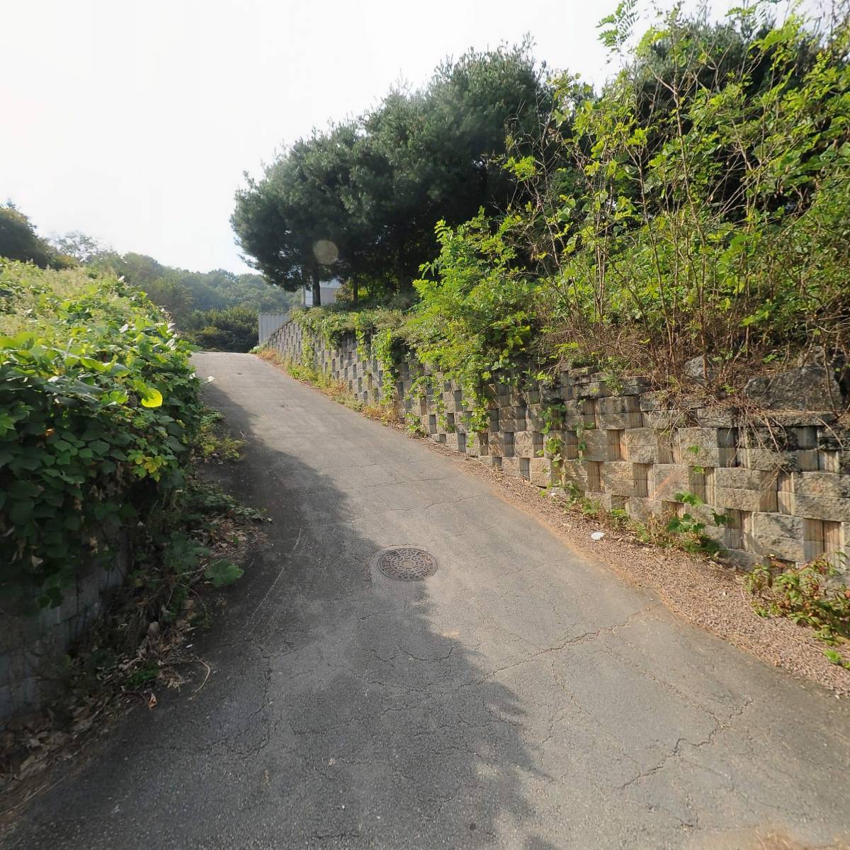 주식회사 용호산업_3