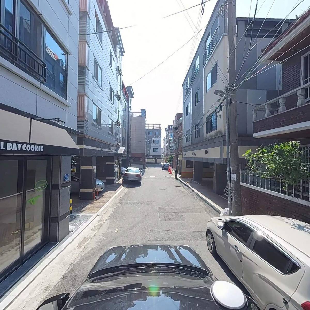올데이쿠키_4